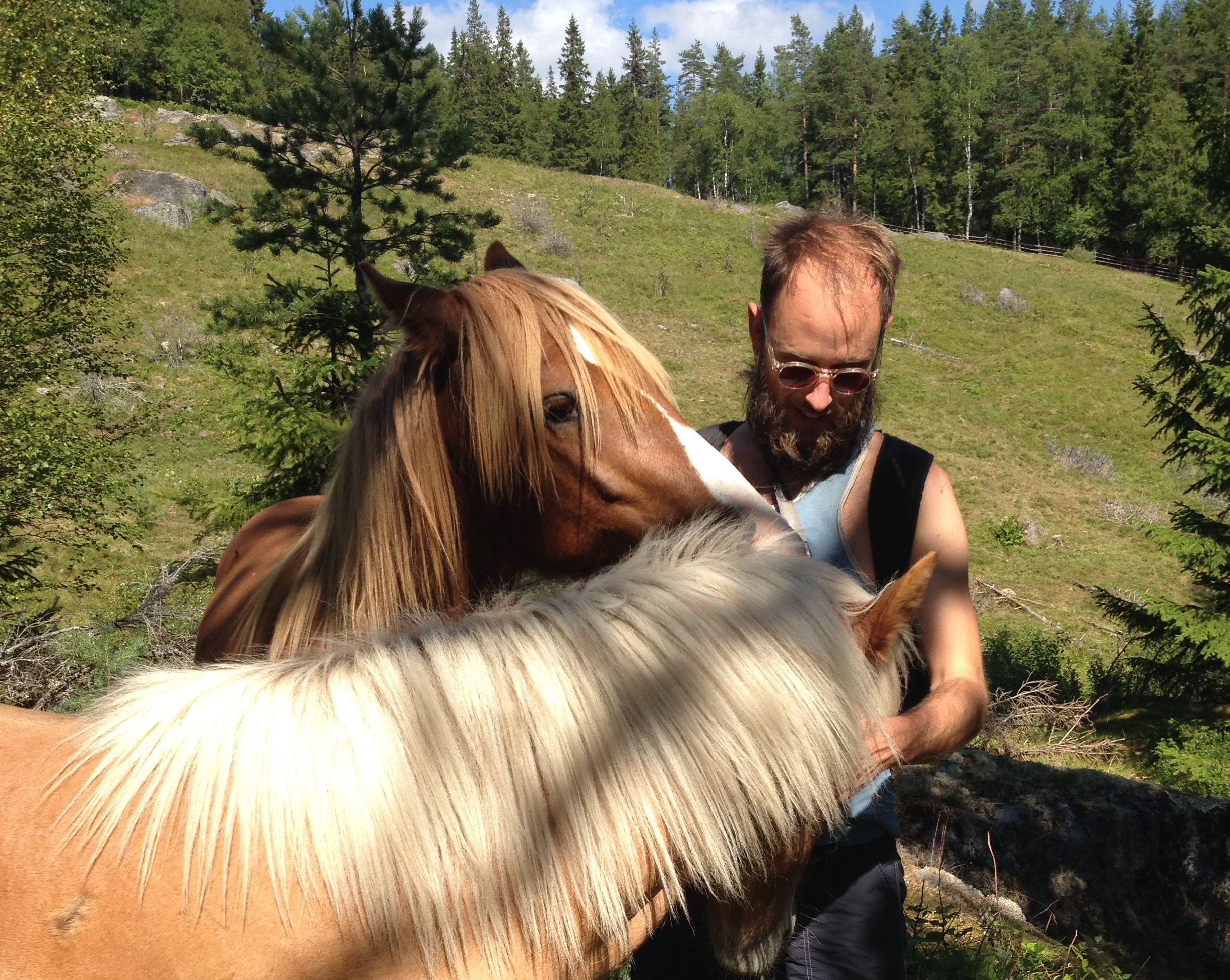 Fallsbjörkens Ateljéprogram